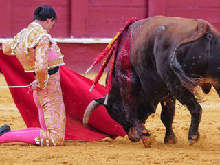 Fortes brilló en La Malagueta con entrega y una oreja en el mano a mano con De Justo 