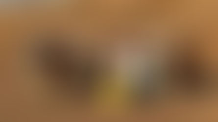 Ciudad Rodrigo recuperó el tentadero a campo abierto en un concurso histórico