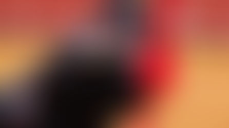 La corrida de Jandilla no sacó su estrella en una tarde de "no hay billetes"