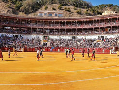 La Malagueta se viste de arte: 65 obras exclusivas de Pedro Sandoval en la Corrida Picassiana 2024