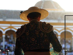 Torovídeo, una plataforma para la libertad de nuestra cultura sin censura