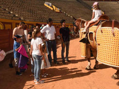 Los niños y Picasso, protagonistas de una jornada cultural taurina en Málaga