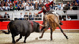 Mejanes: un rejón de oro de lujo 