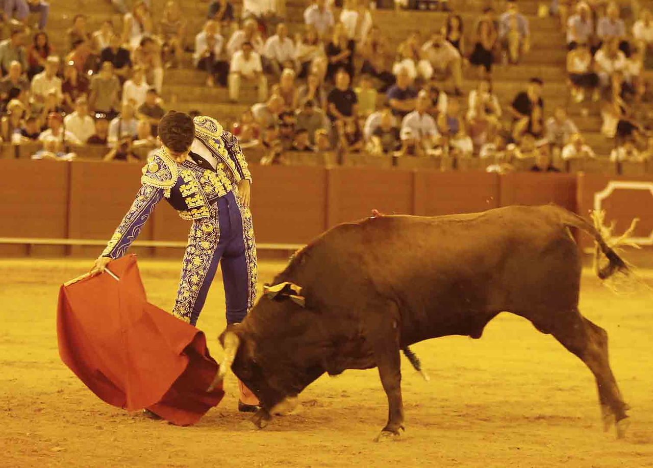 Ángel Pérez corta una oreja en la tercera novillada de promoción en Sevilla