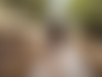 Punta Umbría, la tierra costera saludable con más paisajes naturales