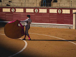 La Asociación El Toro de Madrid hace un balance crítico y constructivo de la temporada venteña 2022