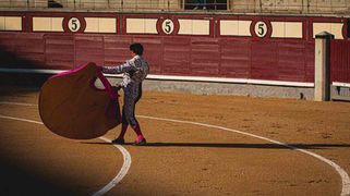 La Asociación El Toro de Madrid hace un balance crítico y constructivo de la temporada venteña 2022