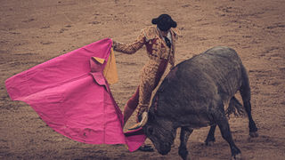 Castilla la Mancha sumará siete festejos más a su temporada 