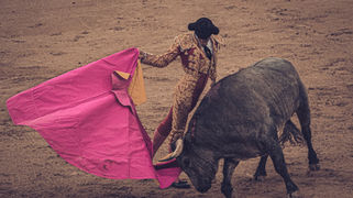 Castilla la Mancha sumará siete festejos más a su temporada 