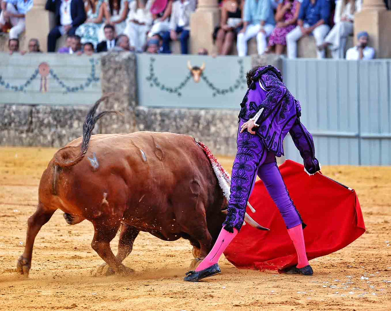 Destacada faena de Manzanares en Ronda