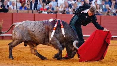 Escribano corta las dos orejas a un toro de Victorino Martín de vuelta al ruedo en La Maestranza