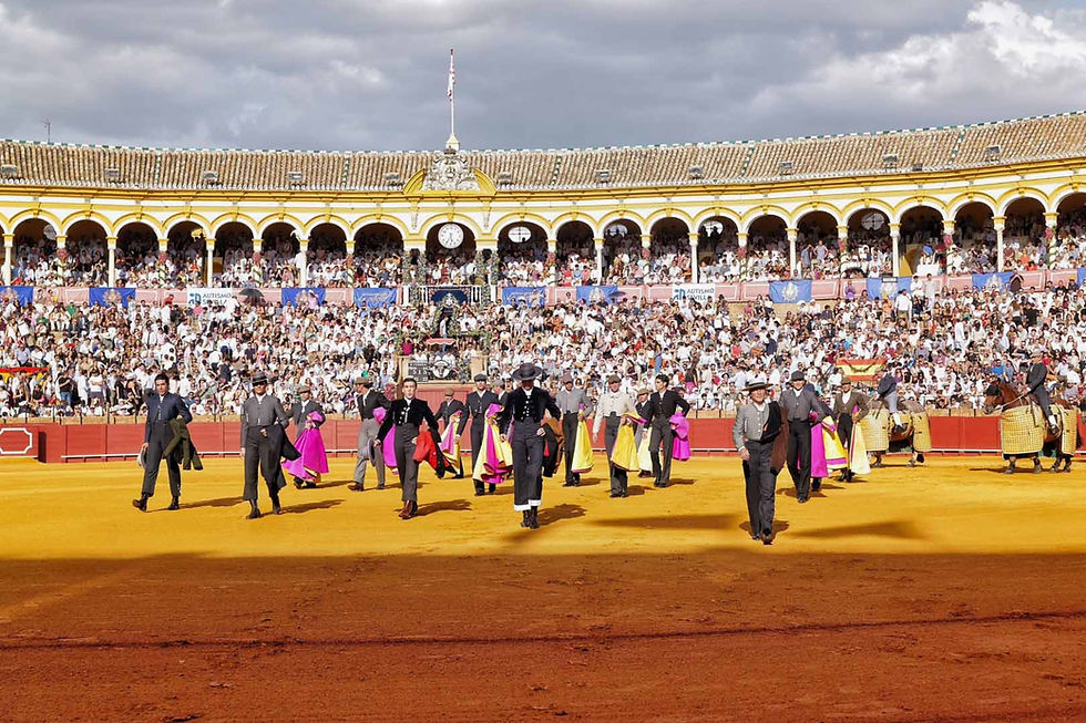 festival benéfico en la Maestranza a favor de La Estrella y Autismo Sevilla