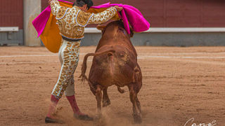 El 22 de abril comienza la renovación y venta de nuevos abonos de la Feria de Torrejón 2022 