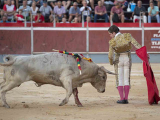 Ovaciones para la terna en Calasparra ante una dura novillada de Prieto de la Cal 