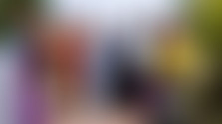 Sevilla acoge la presentación de la Asociación Española del Lujo en el Hotel Palacio de Villapanés