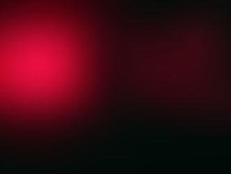 La Ribera del Duero califica como excelente la añada 2021 de sus vinos