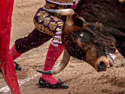 Ganaderías cinco estrellas para la temporada 2023 en la plaza de toros de Arles
