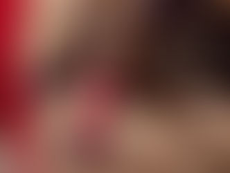 Ganaderías cinco estrellas para la temporada 2023 en la plaza de toros de Arles