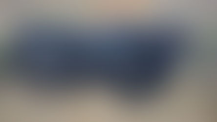 Seis ganaderías de la Camarga para un cartel cien por cien internacional en la novillada de Arles