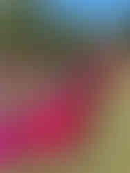 Agroforum y SICampo 2025: el campo español toma voz y espacio en Madrid