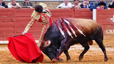 Roca Rey a hombros en la Feria de la Salud de Córdoba en la que también paseó un trofeo Talavante