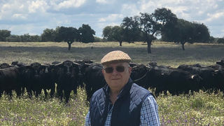 Fallece José Luis Iniesta, ganadero de toros de lidia