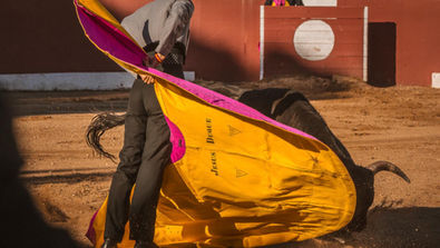 Castilla y León transforma el Reglamento Taurino con innovaciones en el indulto