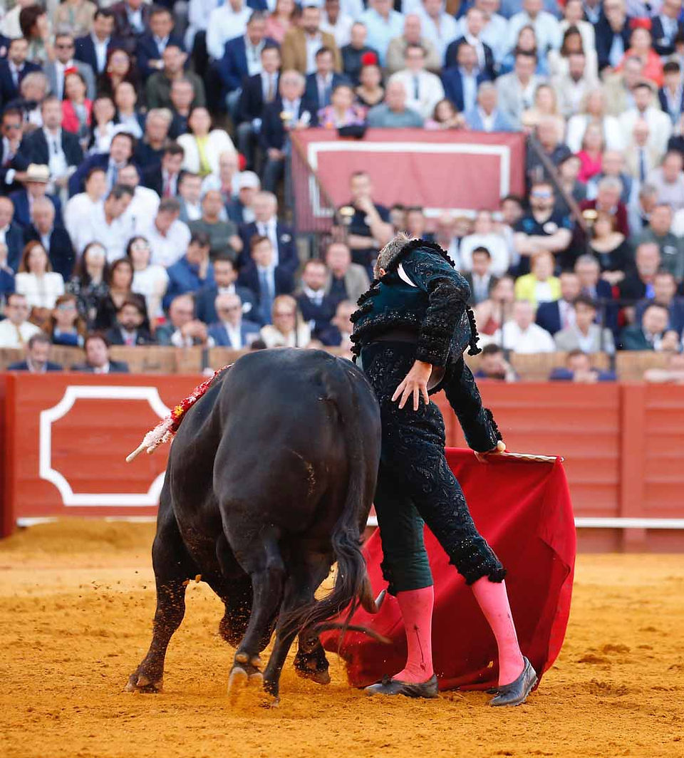 Perera roza el triunfo en Sevilla con una gran faena a un toro premiado con vuelta