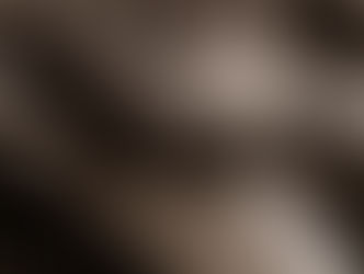 La Junta incluye la nueva modalidad de 'Tauromaquia' en los Premios Castilla y León