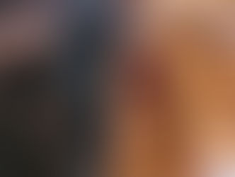 Variedad de encastes en las divisas que lidiarán en Azpeitia en el ciclo taurino de San Ignacio 2023