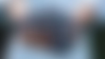 Ribera del Duero aumenta en un 12% el volumen de recolección en la temporada de vendimia 