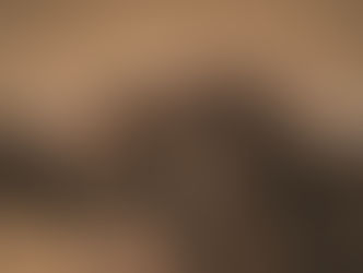 La Empresa Pagés anuncia las ganaderías que lidiarán en Sevilla la próxima temporada