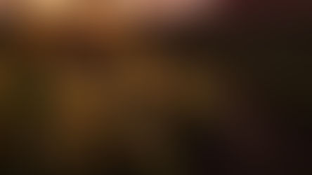 Ribera del Duero presenta en exclusiva sus nuevas añadas en la I edición de la Gran Premier