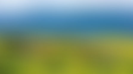 El valor del toro bravo como símbolo cultural y de sostenibilidad