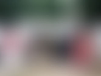 Andalucía es flamenca llenará de moda andaluza el Palacio de San Telmo de Sevilla