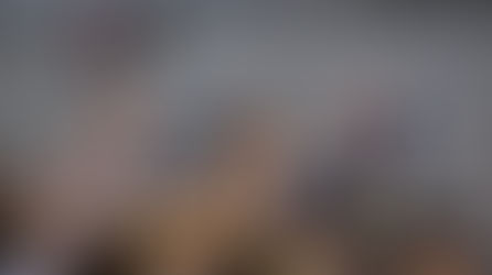 De Justo por Ponce en la Feria del Arroz de Arles