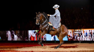 SICAB 2024: Éxito Rotundo en el 34º Aniversario del Salón Internacional del Caballo PRE