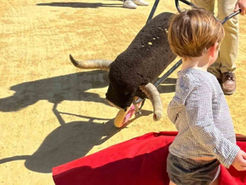 Exitosa jornada de convivencia en Málaga en torno al toreo y la figura de Picasso