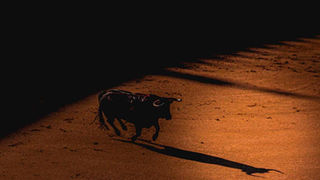 La pandemia Covid19 paraliza el campo bravo