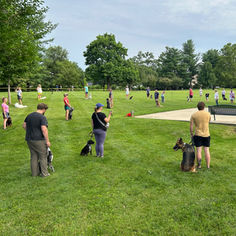 Real Talk: Setting Realistic Expectations About Owning a Dog