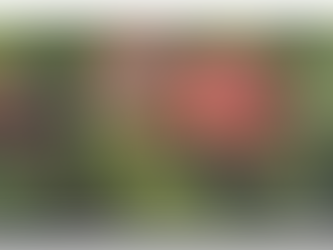 Jewish New Year in the Time of Covid