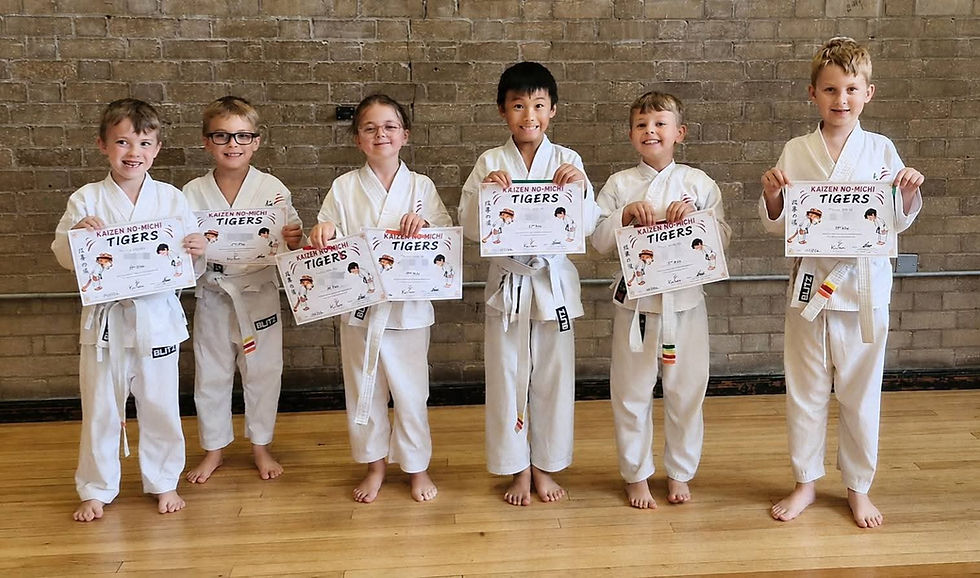 Well Done to our Monday evening Karate Tigers
