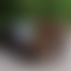 Giordania: un viaggio attraverso le donne