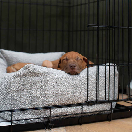 puppy sleeping peacefully in crate with door open