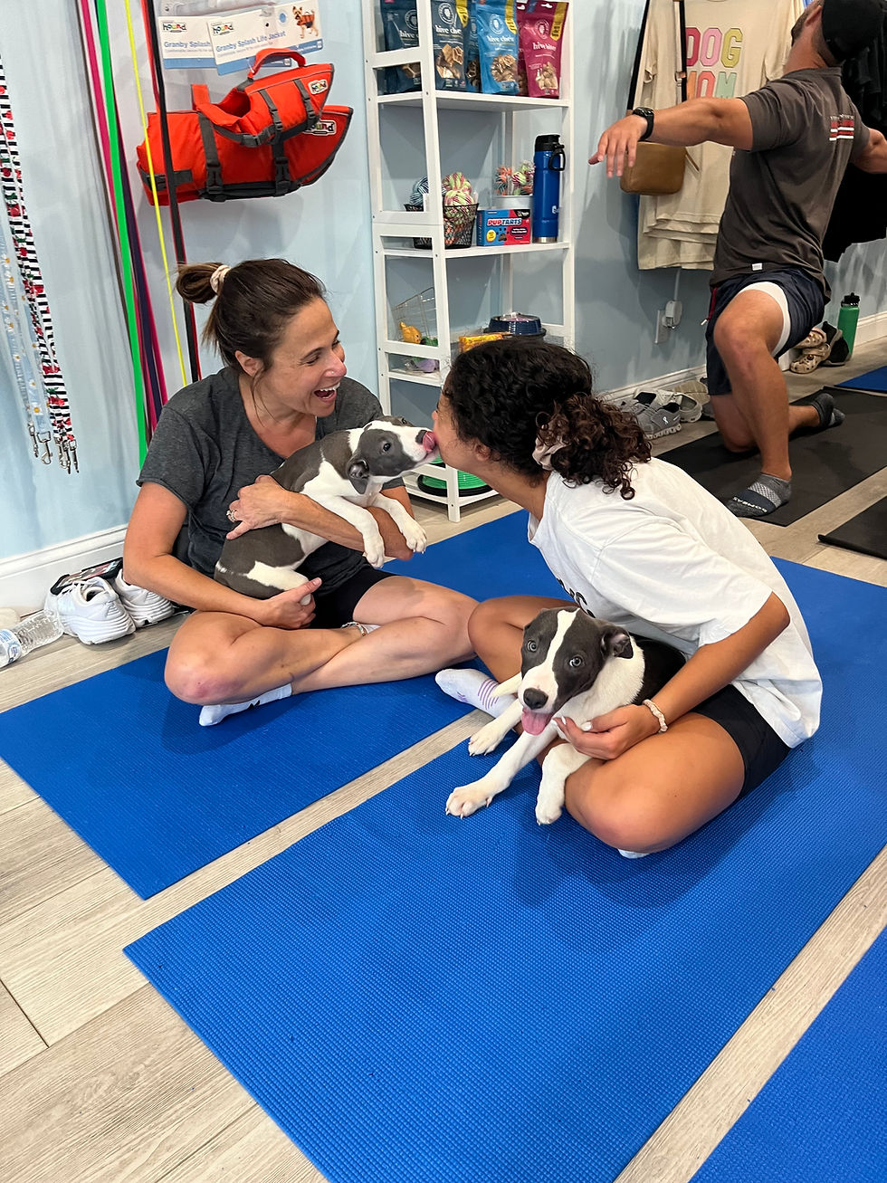 MOTHER'S DAY PUPPY YOGA