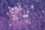 Tree_Purple Sky.jpg