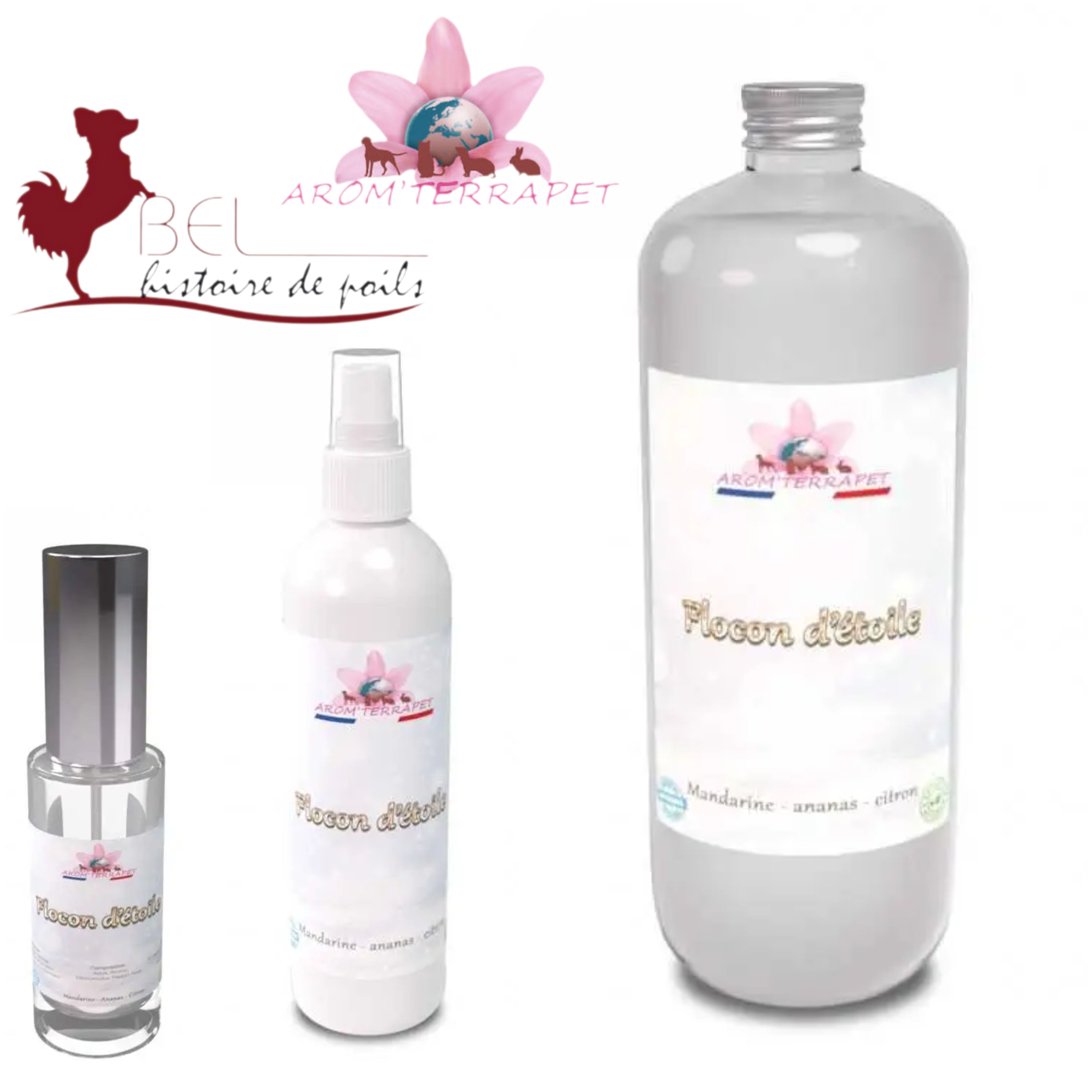 Arom'Terrapet - Flocon d'étoile - Parfum fruité (citron, mandarine, ananas)