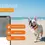 Thumbnail: Weenect - GPS pour chien ou chat