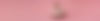 Emmalee-Shoot-Kat-Password-March-2026-41-Katherine-Schell_Footer_forweb.jpg