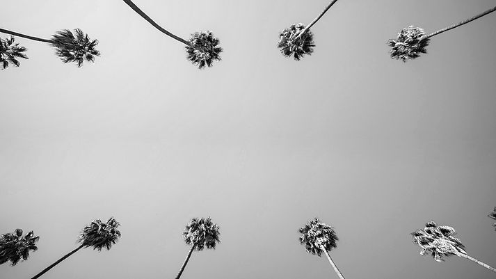 joseph-ngabo-LZr7ZcMVDs4-unsplash_BW_for